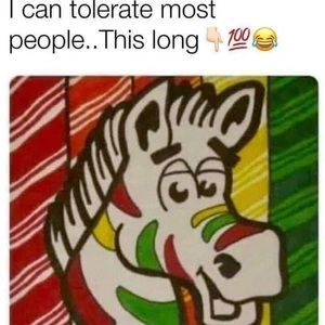 Meet your Posher, Dylan